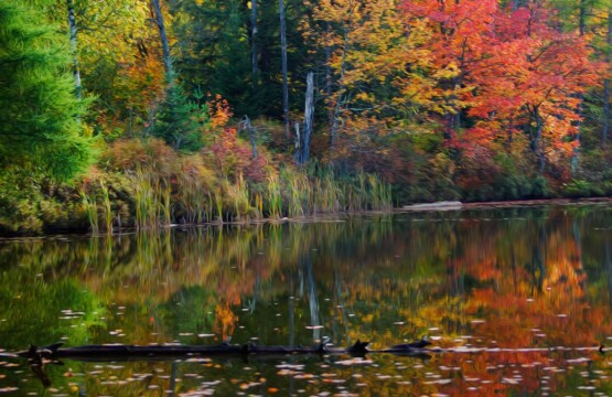 Lac et forêt arborant ses plus belles couleurs à l'automne à Eastman, en Estrie